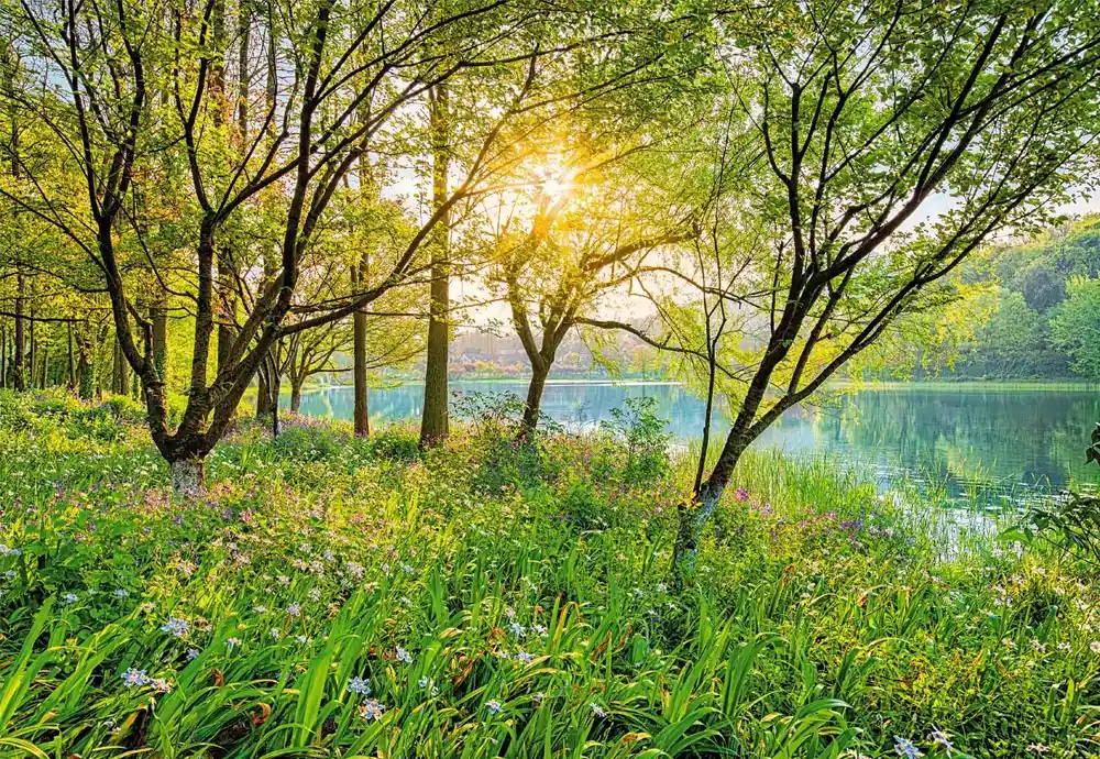 Uutuus Seinämaalaukset Spring Lake