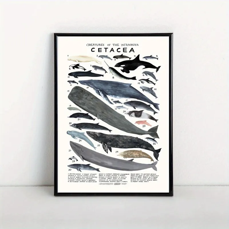 Juliste, valtamerieläimet, 29,97*41,91cm be rėmelių Uutuus