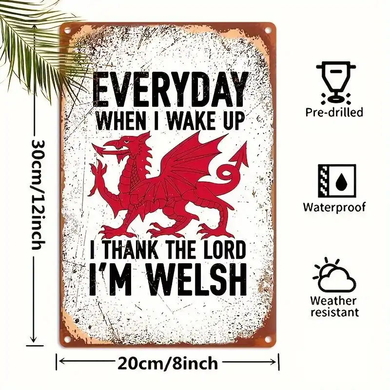 Aito Welsh Dragon Metalli Kyltti